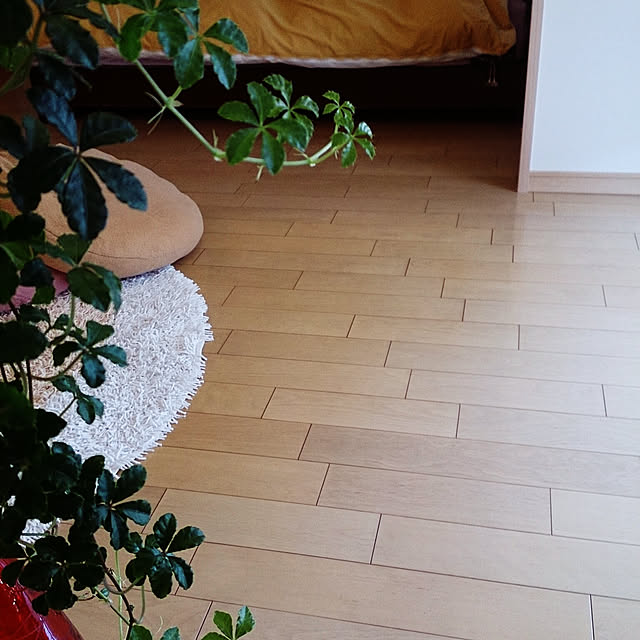 Suucoさんの実例写真