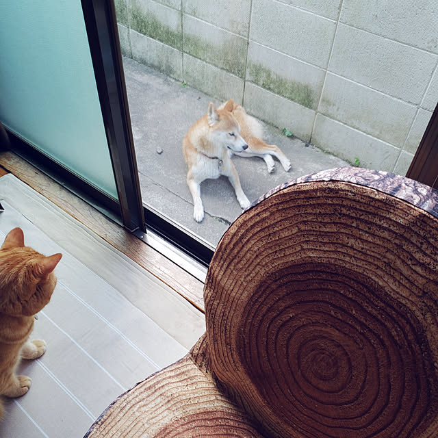 fruityanさんの実例写真