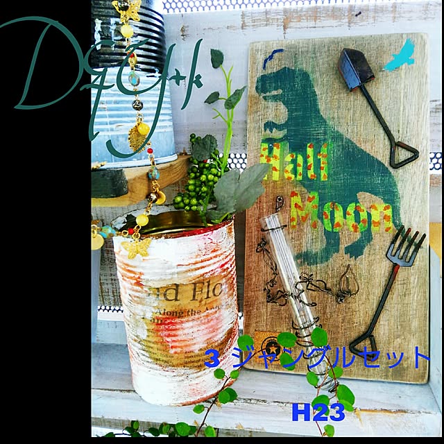 DandYkさんの実例写真