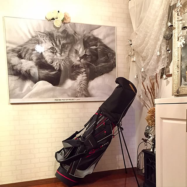 butachanさんの実例写真