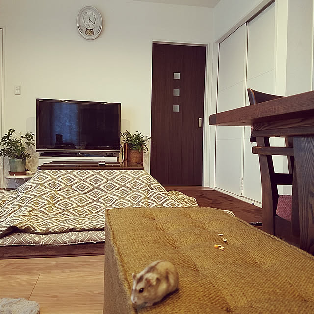 325unさんの実例写真