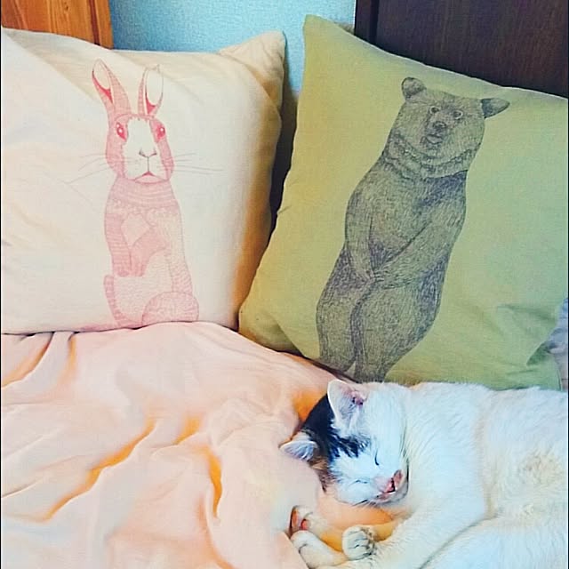 rabbit-houseさんの実例写真
