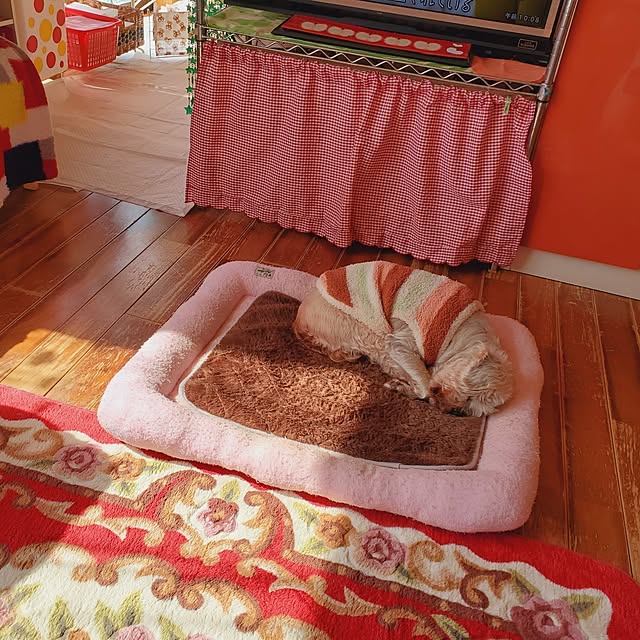 kumutanさんの部屋