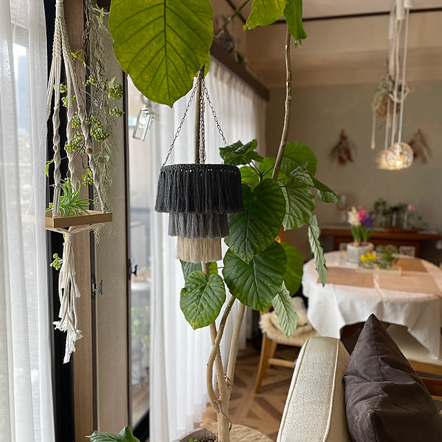 momo_sanさんの部屋