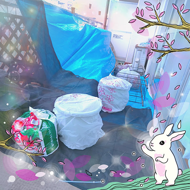 mariaさんの実例写真