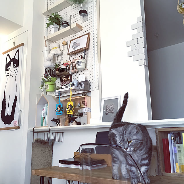 mikomaruさんの実例写真