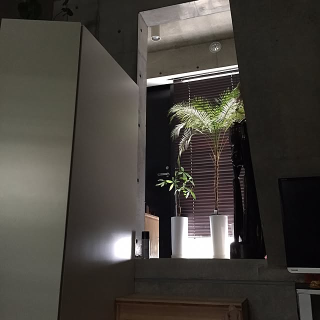 玄関/入り口/観葉植物のインテリア実例 - 2015-05-28 00:41:11
