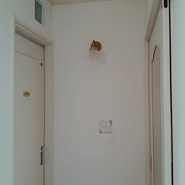 Dinoさんの実例写真