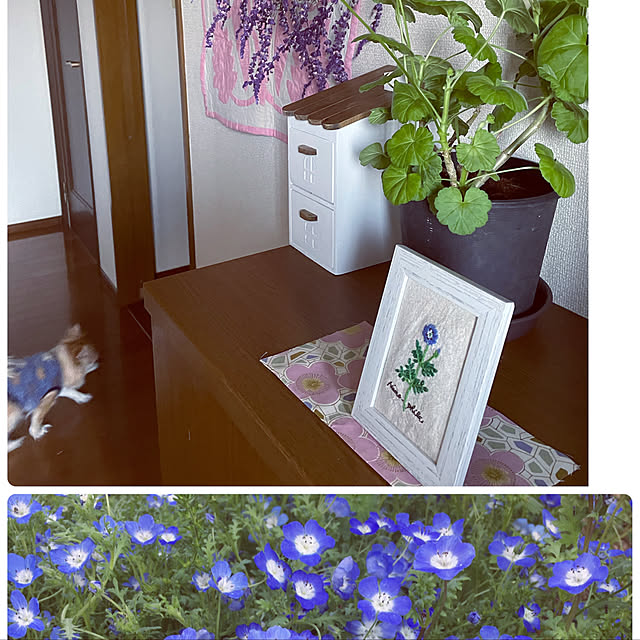 natsumiさんの実例写真