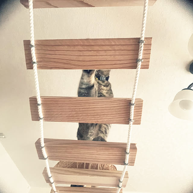 Mさんの部屋