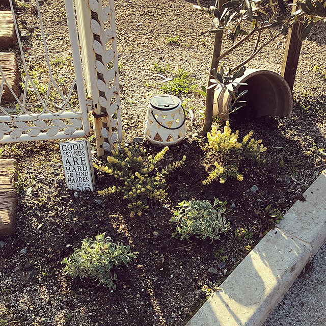 pingachaaaさんの実例写真