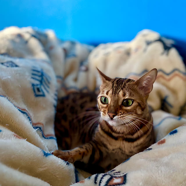 tututu0204さんの部屋