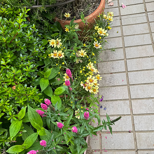 mamizaさんの部屋