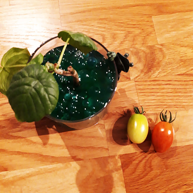 pumpkin11さんの実例写真