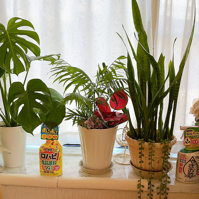 mukkuさんの実例写真