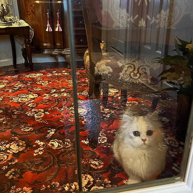 AYUKOさんの部屋