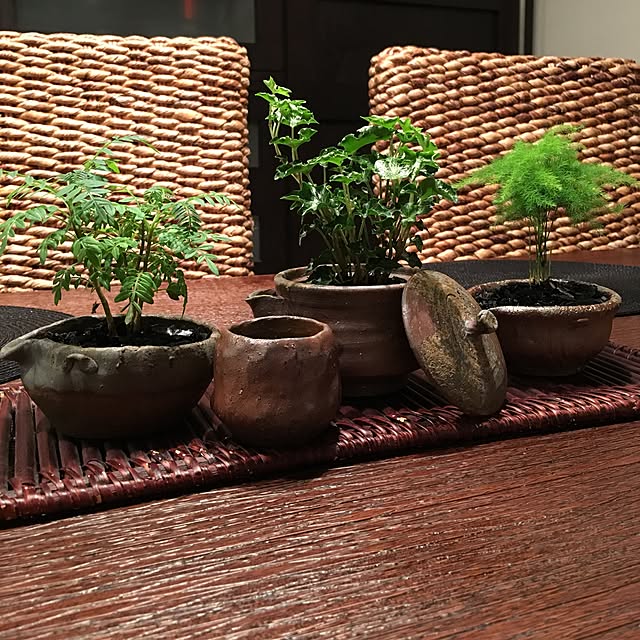 cocotaiさんの実例写真