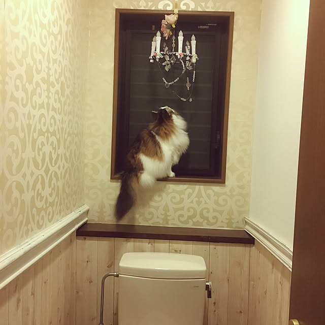 uraraさんの実例写真