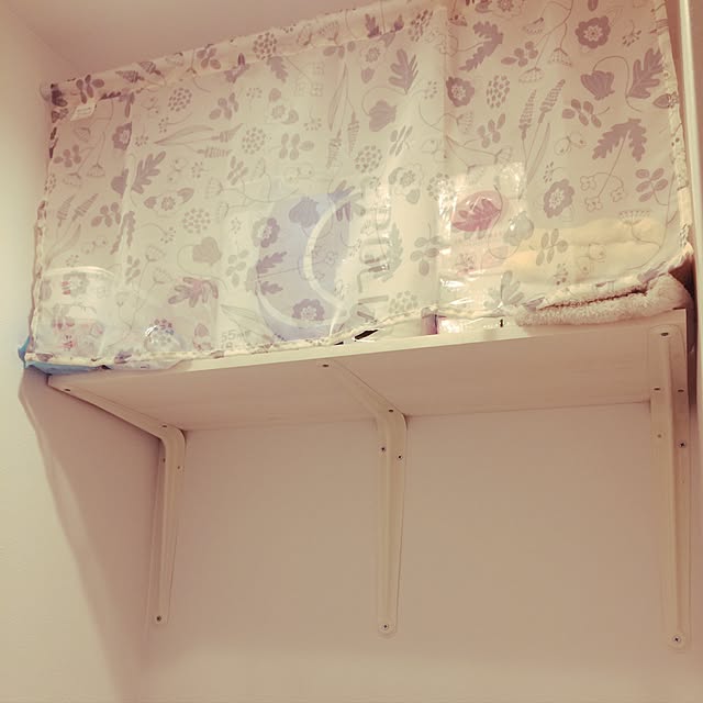 missAさんの実例写真
