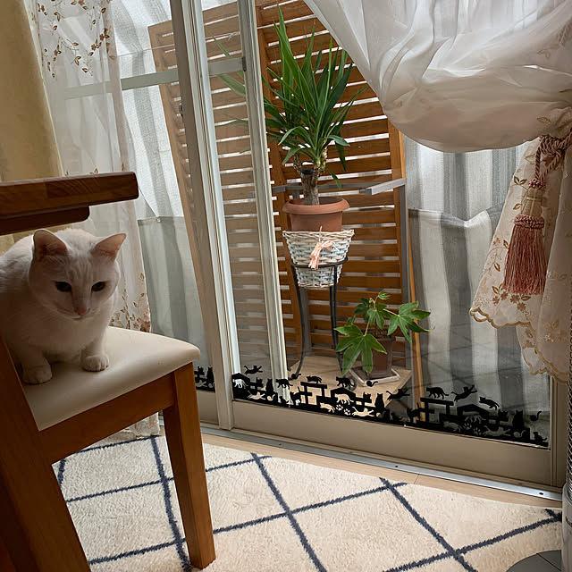 moyuhiさんの実例写真