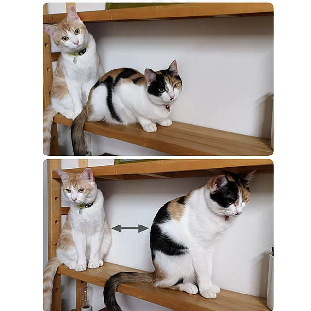 koyurizuさんの実例写真