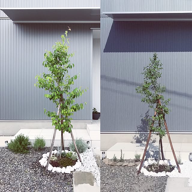 KotoRiさんの実例写真