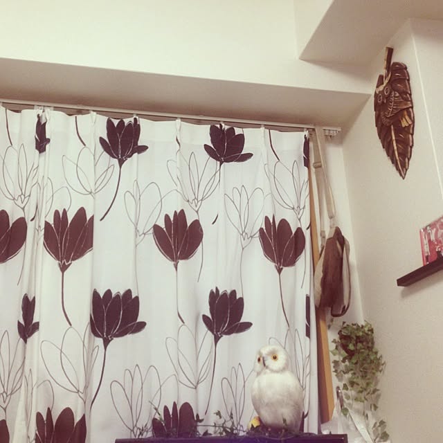 pekoさんの実例写真