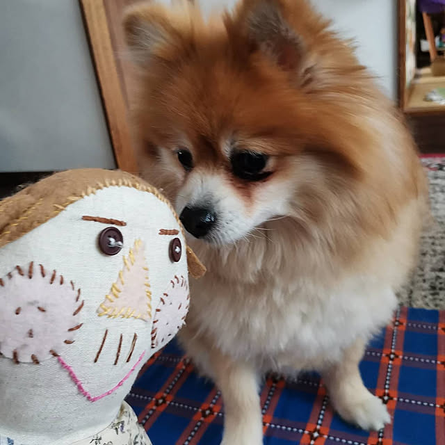 budoupanさんの実例写真