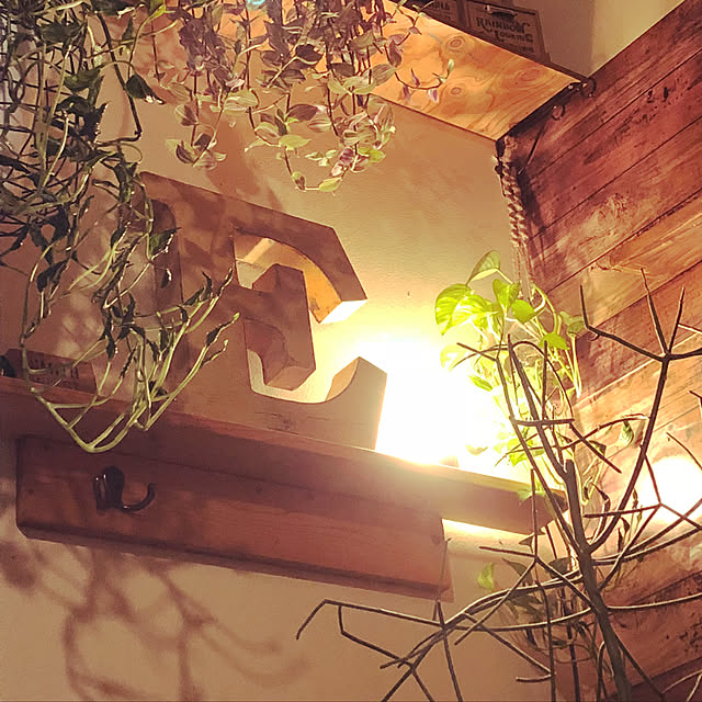 korokoroさんの実例写真