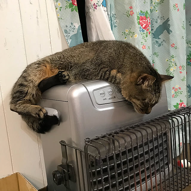 pepeさんの実例写真