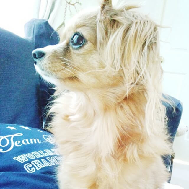 NATTUさんの実例写真