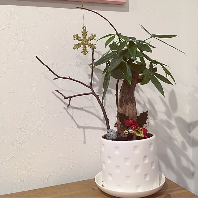 norandさんの実例写真