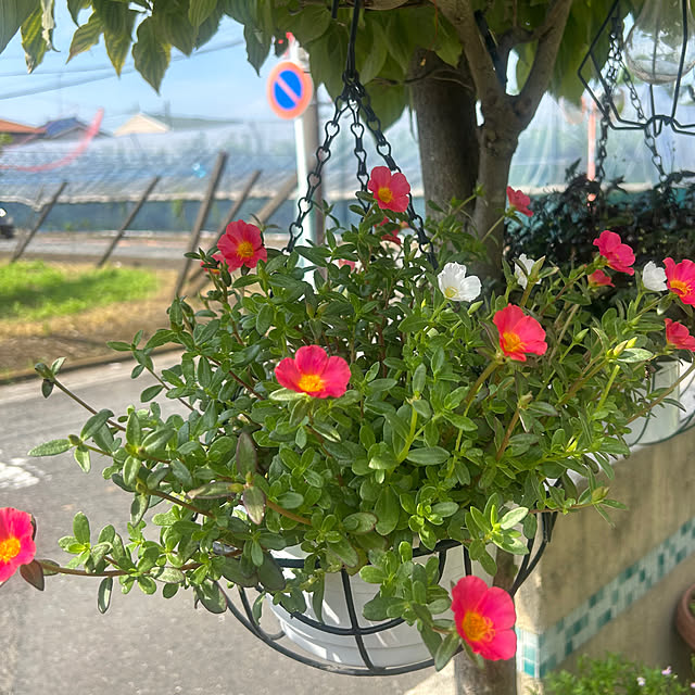 miukiさんの部屋