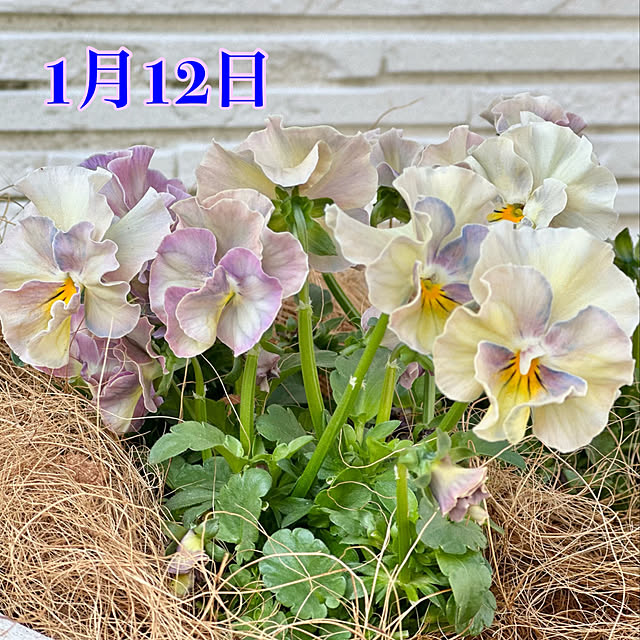 Re_さんの部屋