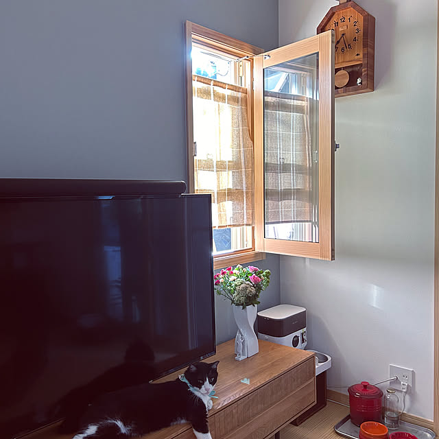 haruさんの実例写真
