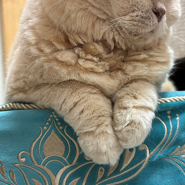 naokoさんの部屋