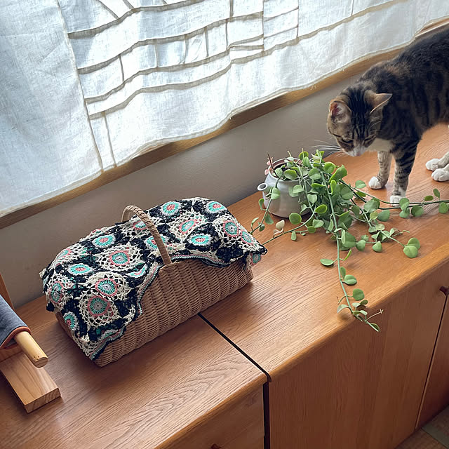 nobikoさんの部屋