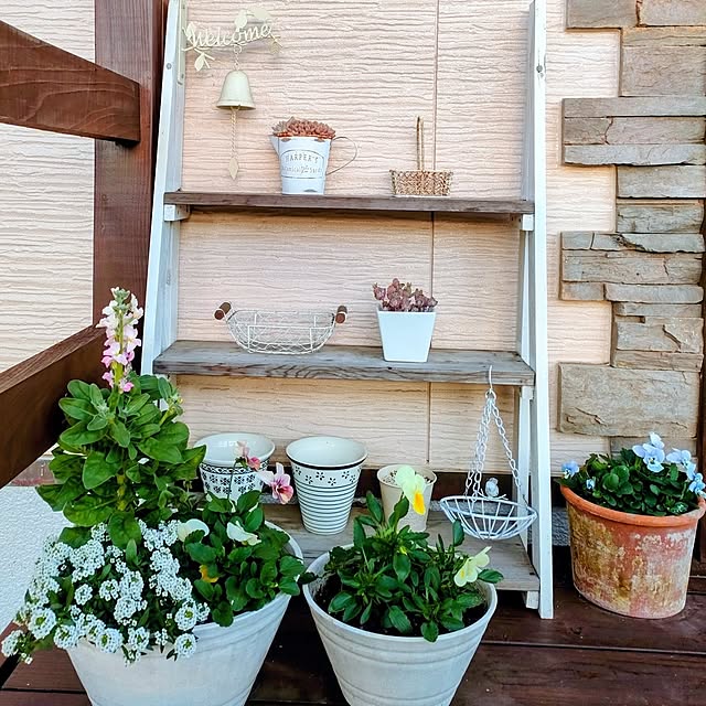 ai.happyplaceさんの実例写真