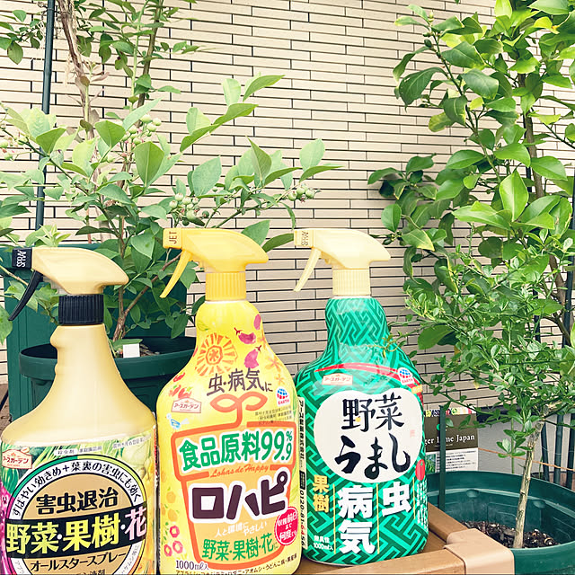 cocorin_homeさんの実例写真