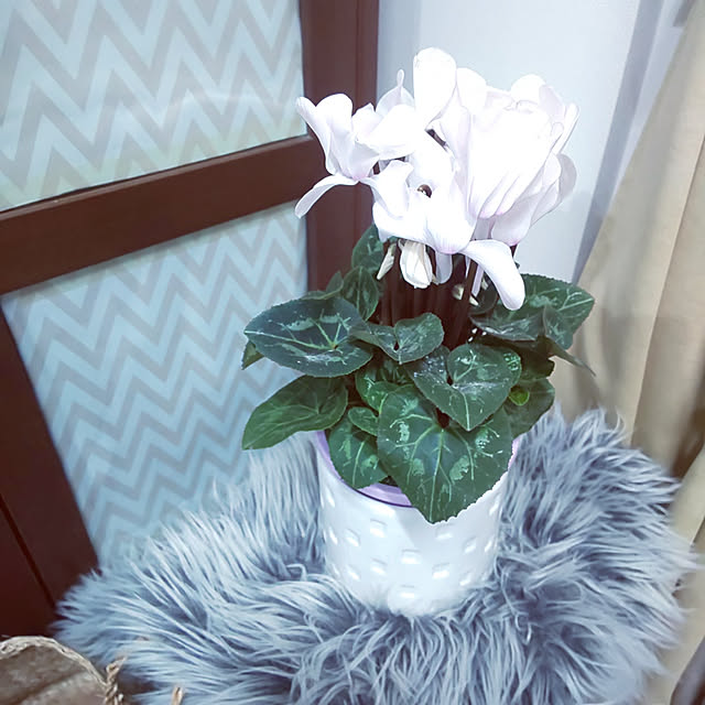 makiさんの実例写真