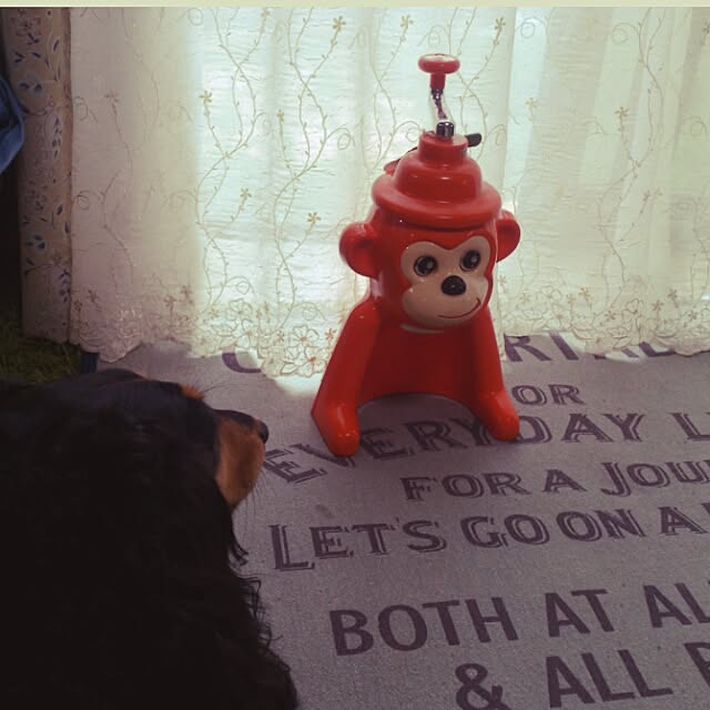 minaさんの実例写真