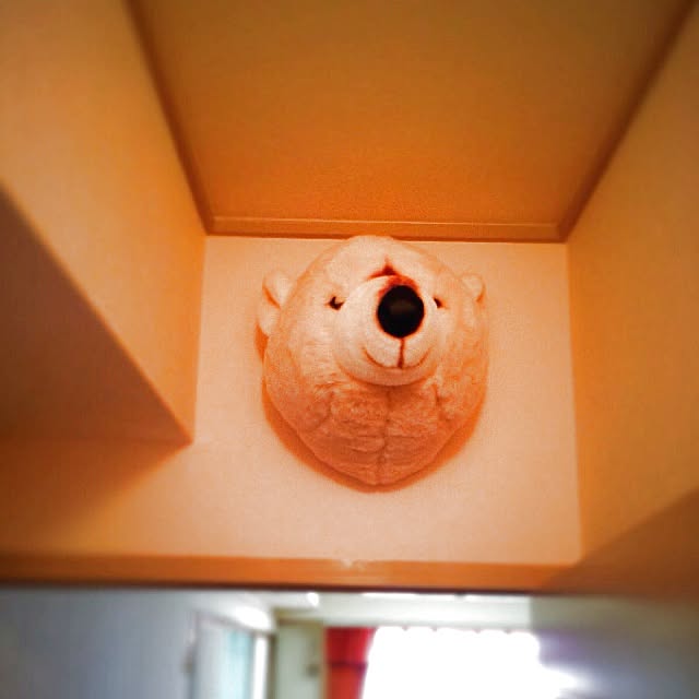 bacio_shioriさんの実例写真