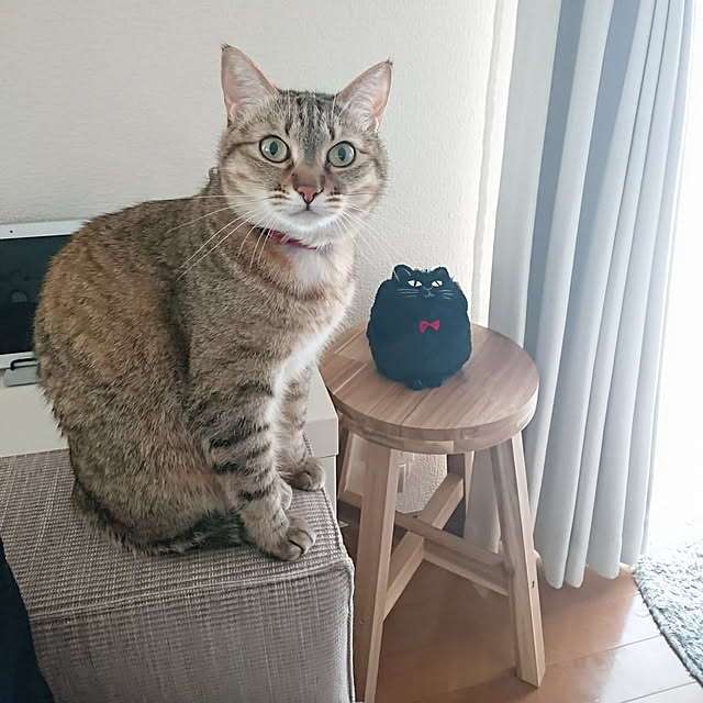 maikyさんの実例写真