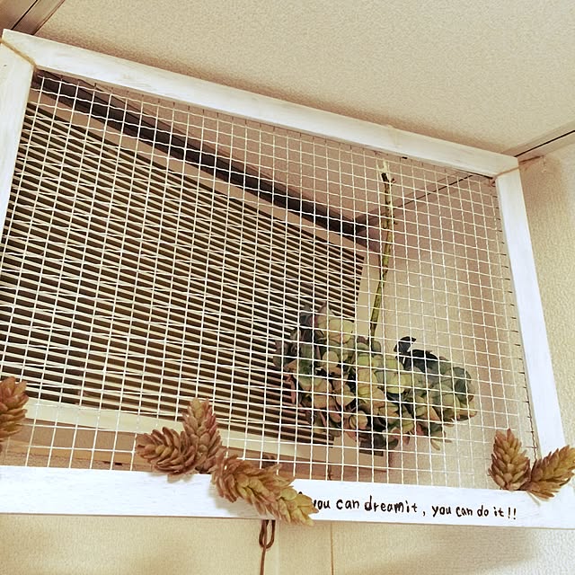Reinaさんの実例写真
