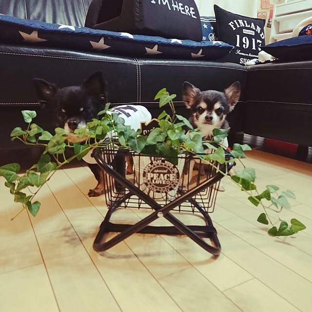 lovepeaceさんの実例写真
