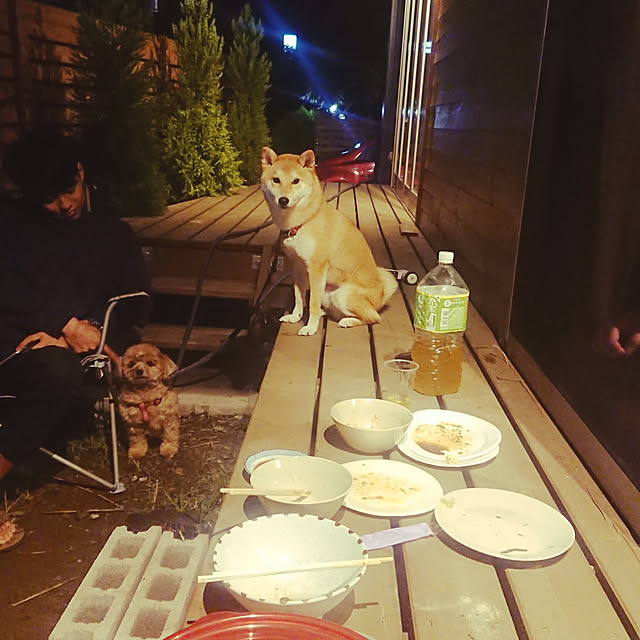 Danさんの実例写真