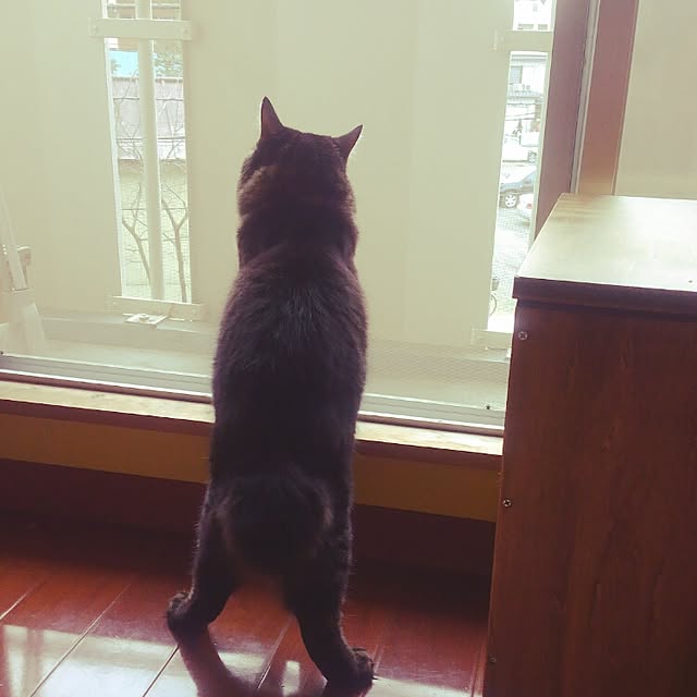 Chelseaさんの実例写真