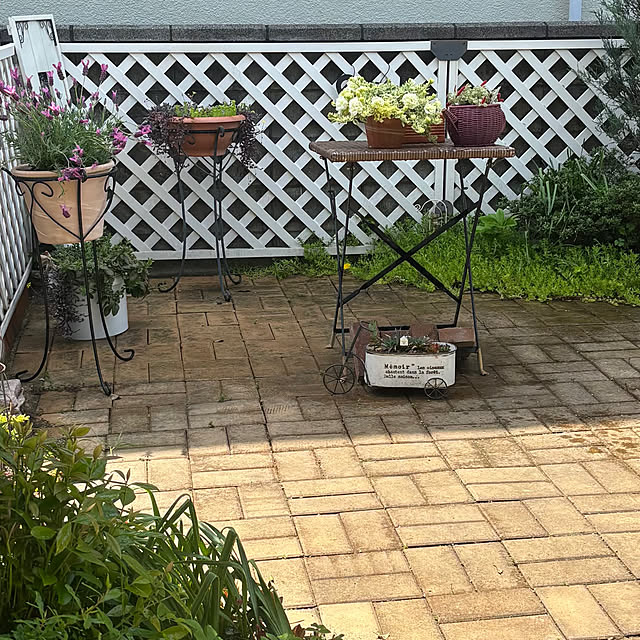 momocchiさんの部屋