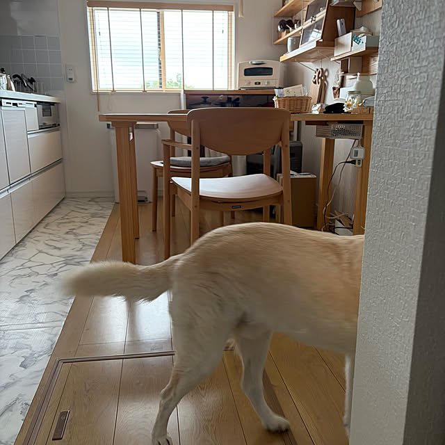 tanboさんの部屋