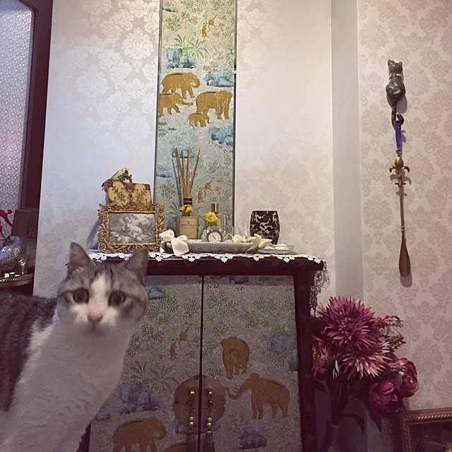 emmyyさんの実例写真